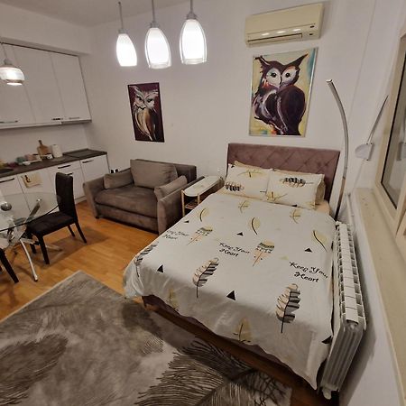 Owl Apartment Belgrade Extérieur photo