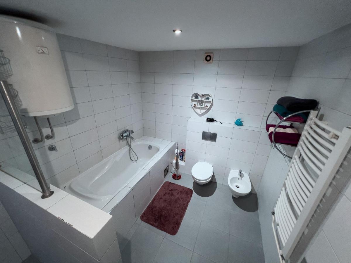 Owl Apartment Belgrade Extérieur photo
