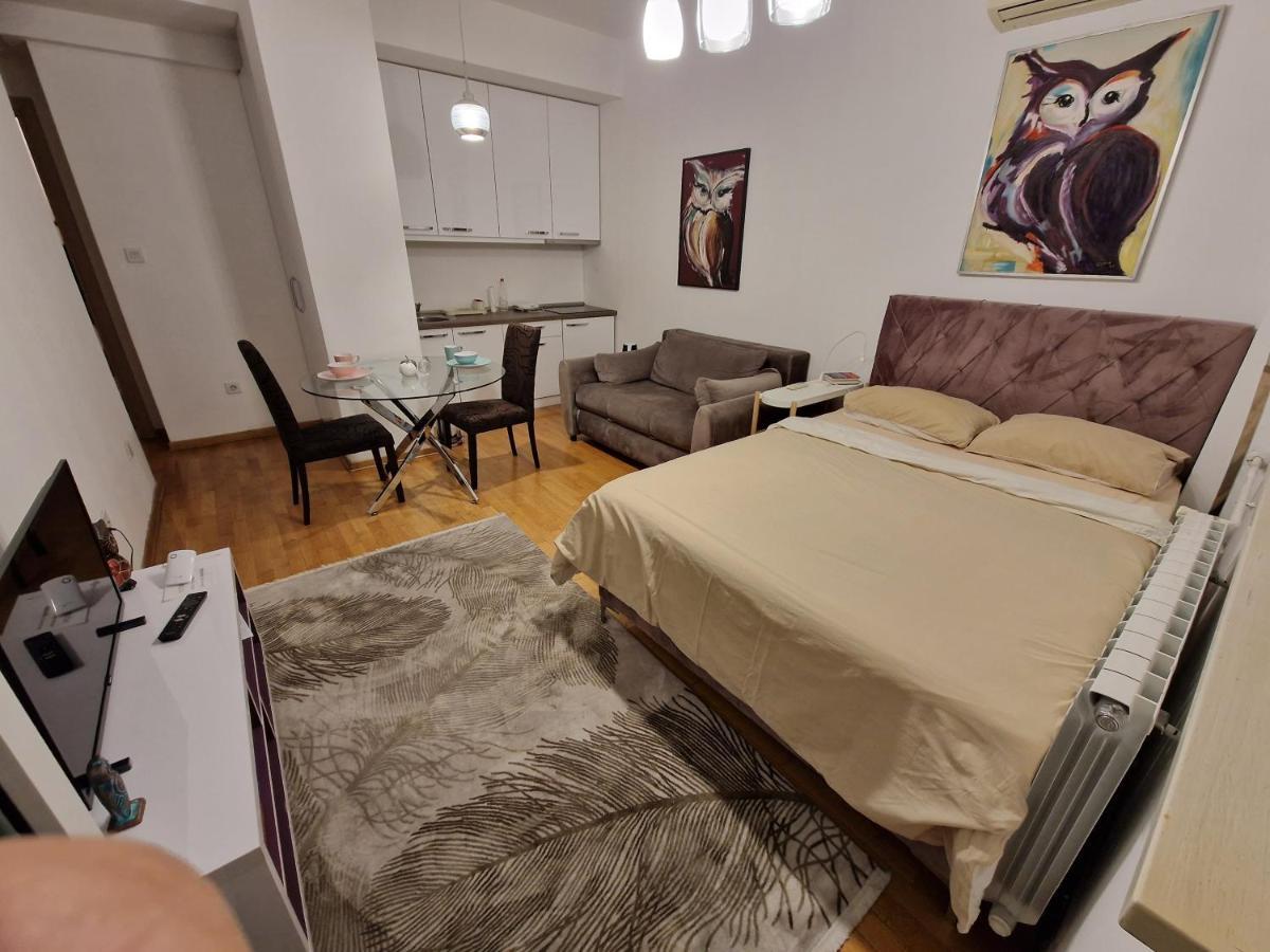 Owl Apartment Belgrade Extérieur photo